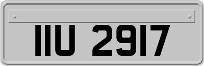 IIU2917