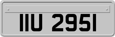 IIU2951