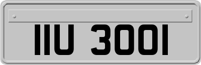 IIU3001