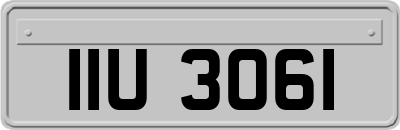 IIU3061