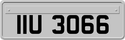 IIU3066