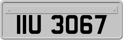 IIU3067