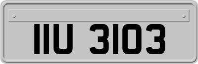 IIU3103