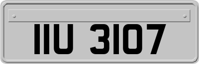 IIU3107