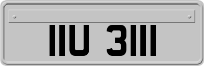 IIU3111