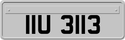 IIU3113