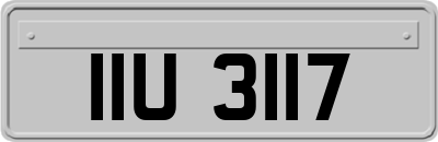 IIU3117