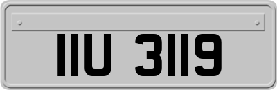 IIU3119