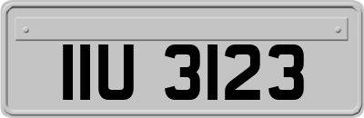 IIU3123