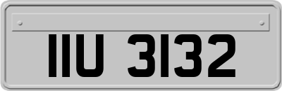 IIU3132