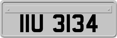 IIU3134