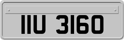 IIU3160