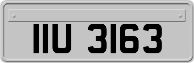 IIU3163