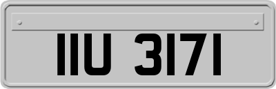 IIU3171