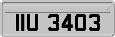 IIU3403