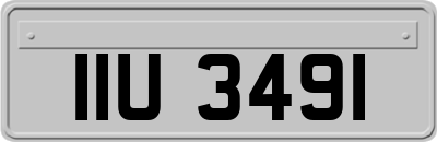 IIU3491
