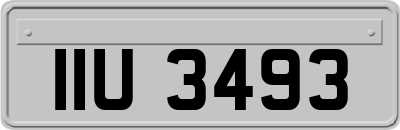 IIU3493
