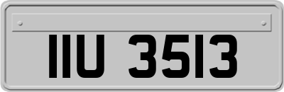 IIU3513