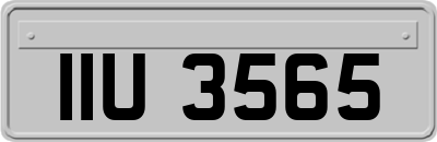 IIU3565