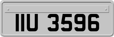 IIU3596