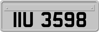 IIU3598