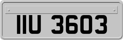 IIU3603