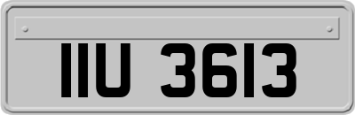 IIU3613