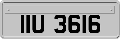 IIU3616