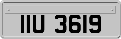 IIU3619