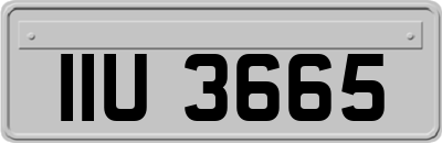 IIU3665