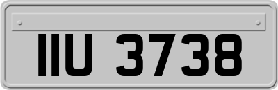 IIU3738