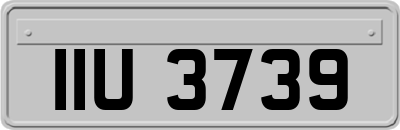 IIU3739