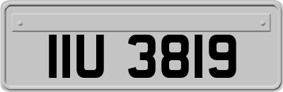IIU3819