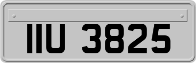 IIU3825