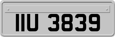 IIU3839