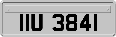 IIU3841
