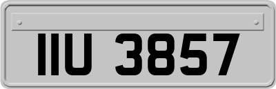 IIU3857