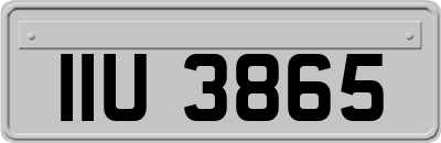 IIU3865