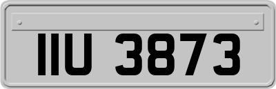 IIU3873