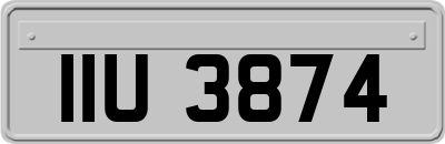 IIU3874