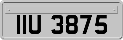 IIU3875