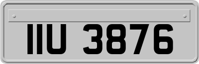 IIU3876