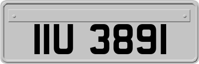 IIU3891