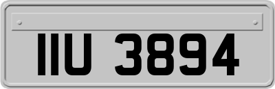 IIU3894