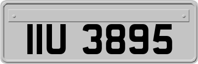 IIU3895