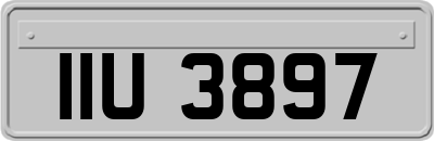 IIU3897