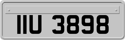 IIU3898