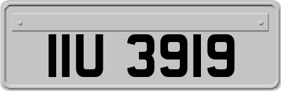 IIU3919