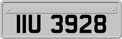 IIU3928