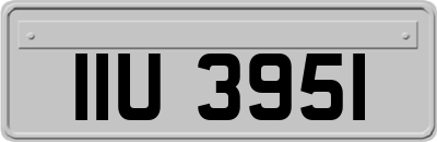 IIU3951